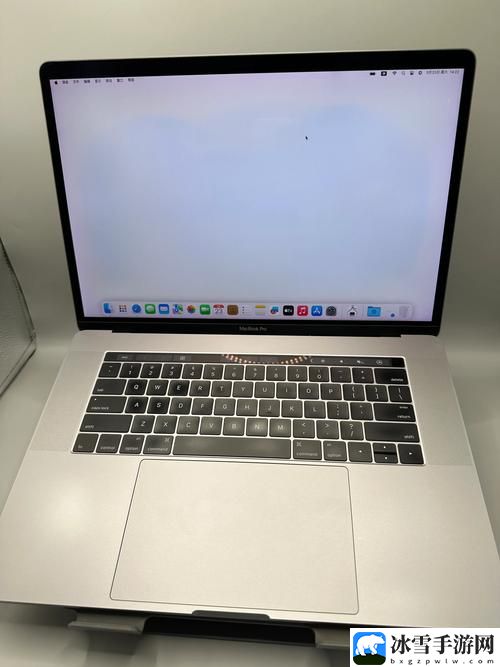 18岁macbookproggshhssd