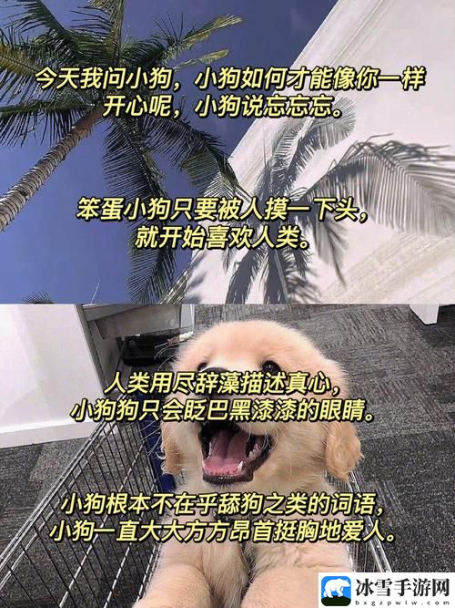 小狗今天草到主人了吗小说