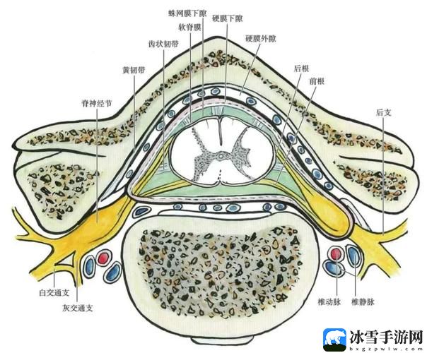 颈腰挺过那层薄膜好疼