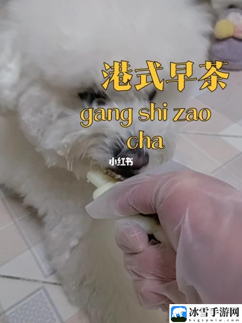 人马胶配方大全高清