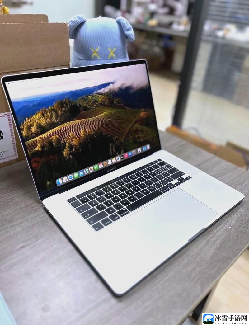 19岁MACBOOKPRO欧美款