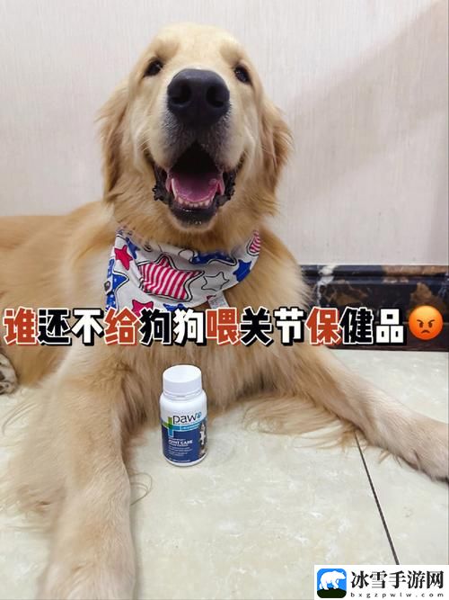 狗狗和人胶配方大全高清下载