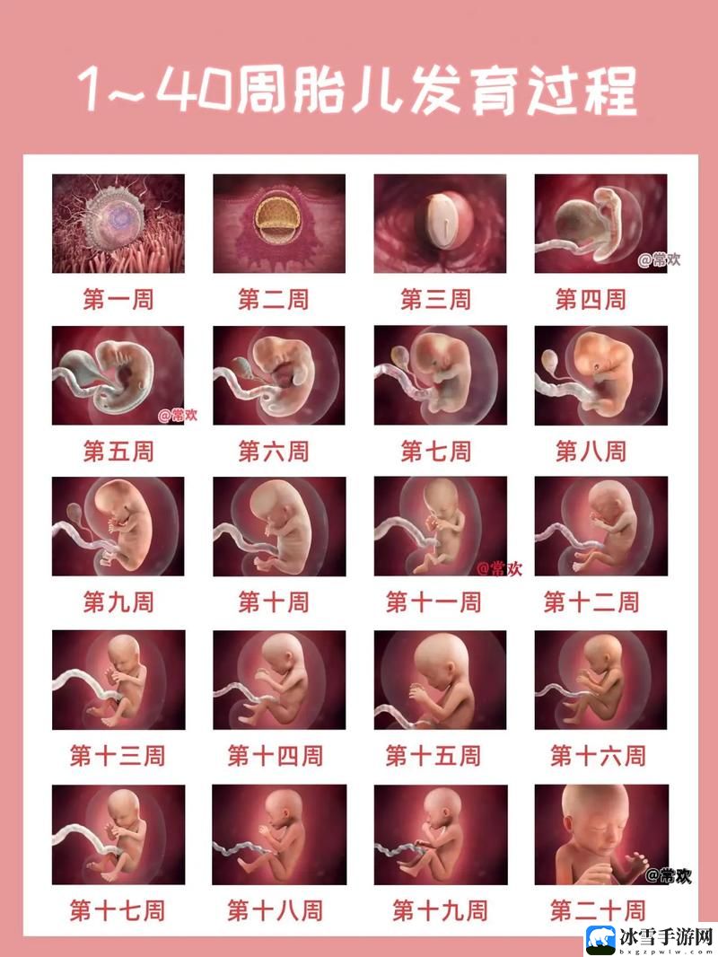 周家日常1v2林楠