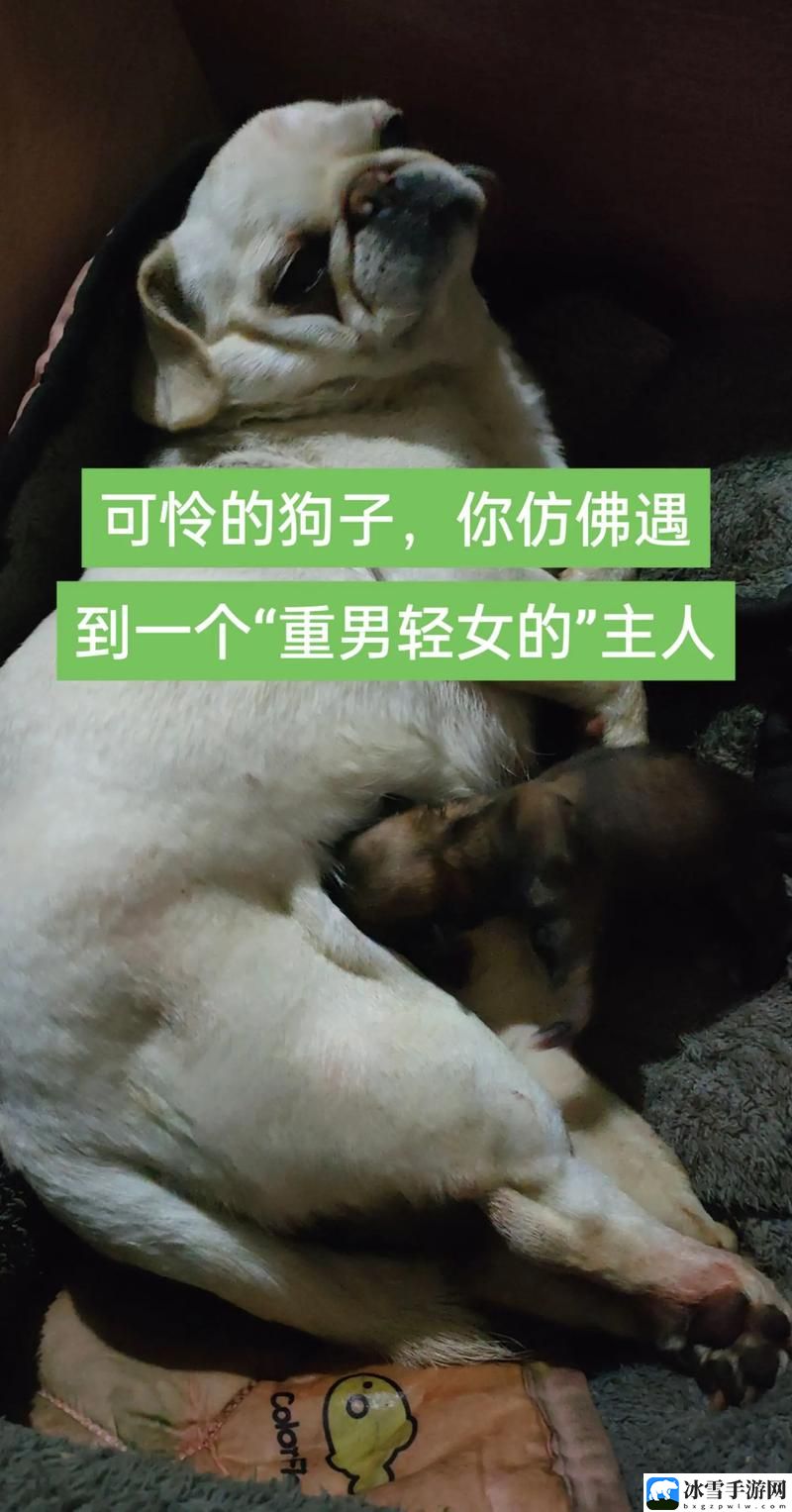 我的狗老公拉婆婆一起