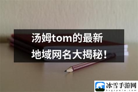 Tom永久地域网名入口