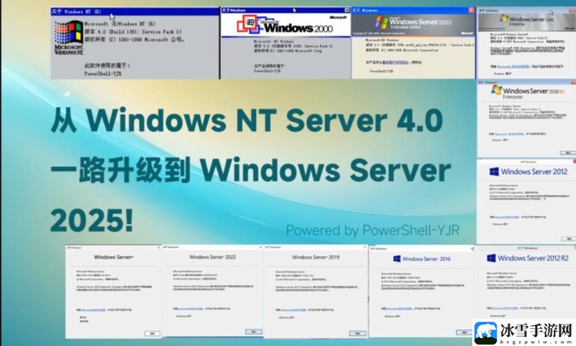 日本windowsserver