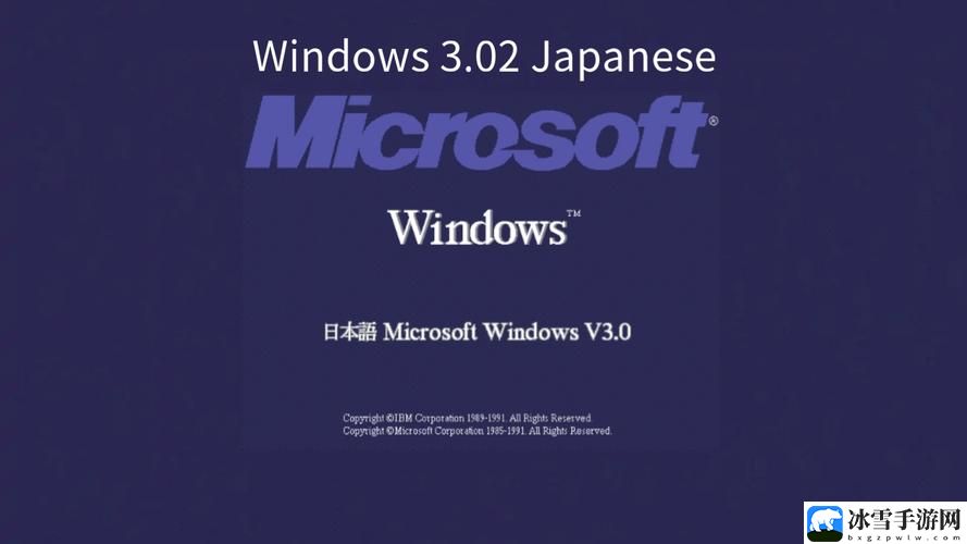 日本windowsserver