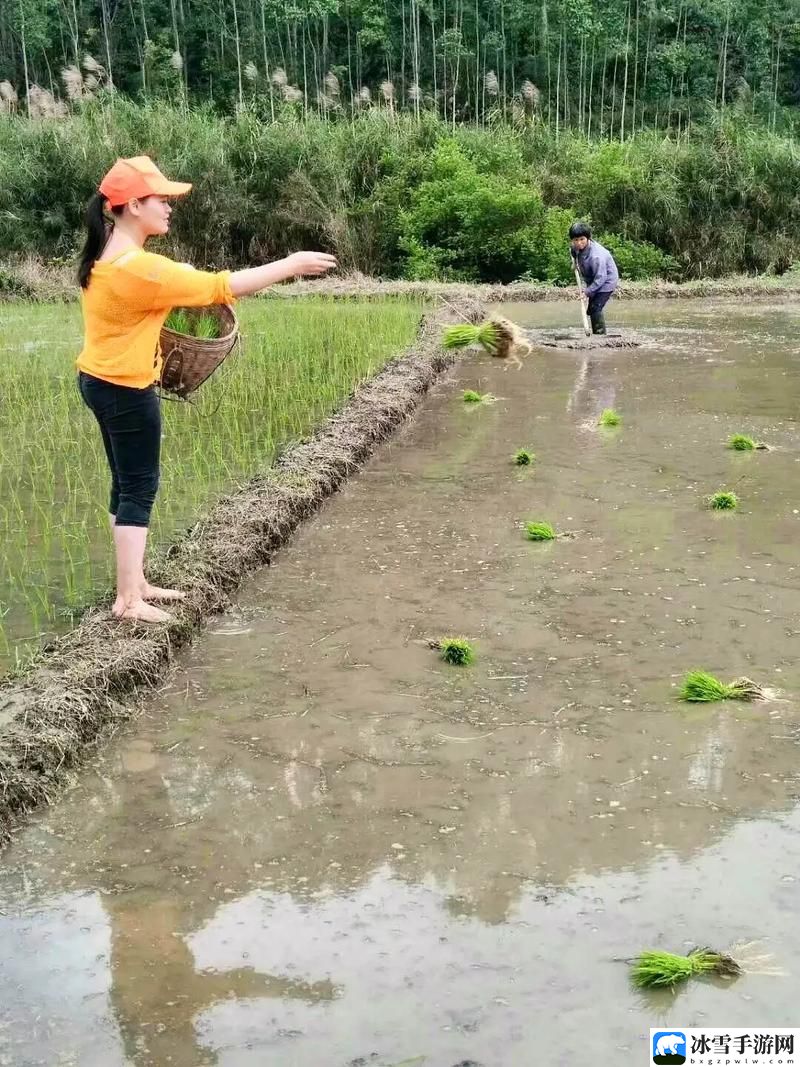 男女插秧二十三方法