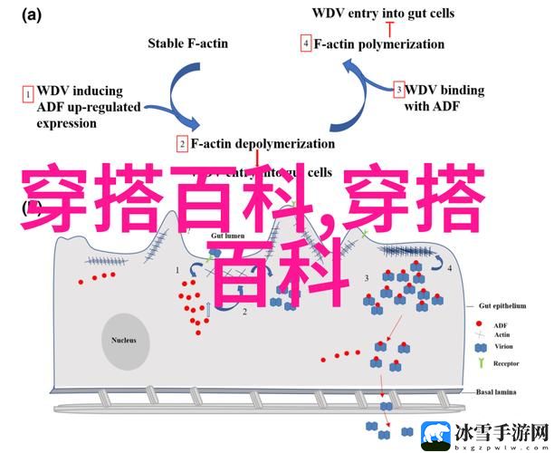 电梯深度开发1v6笔趣阁1v2