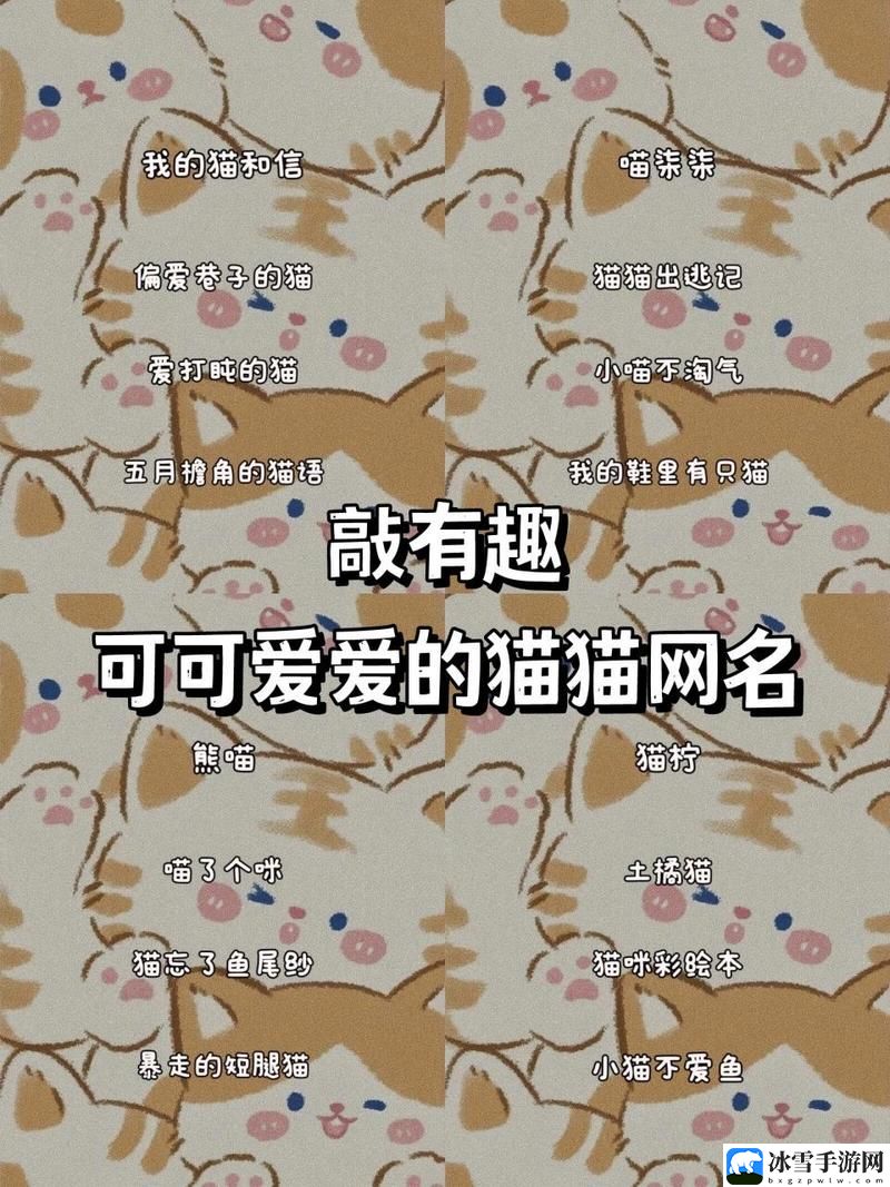 猫咪成人最新地域网名怎么取